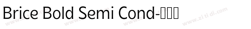 Brice Bold Semi Cond字体转换